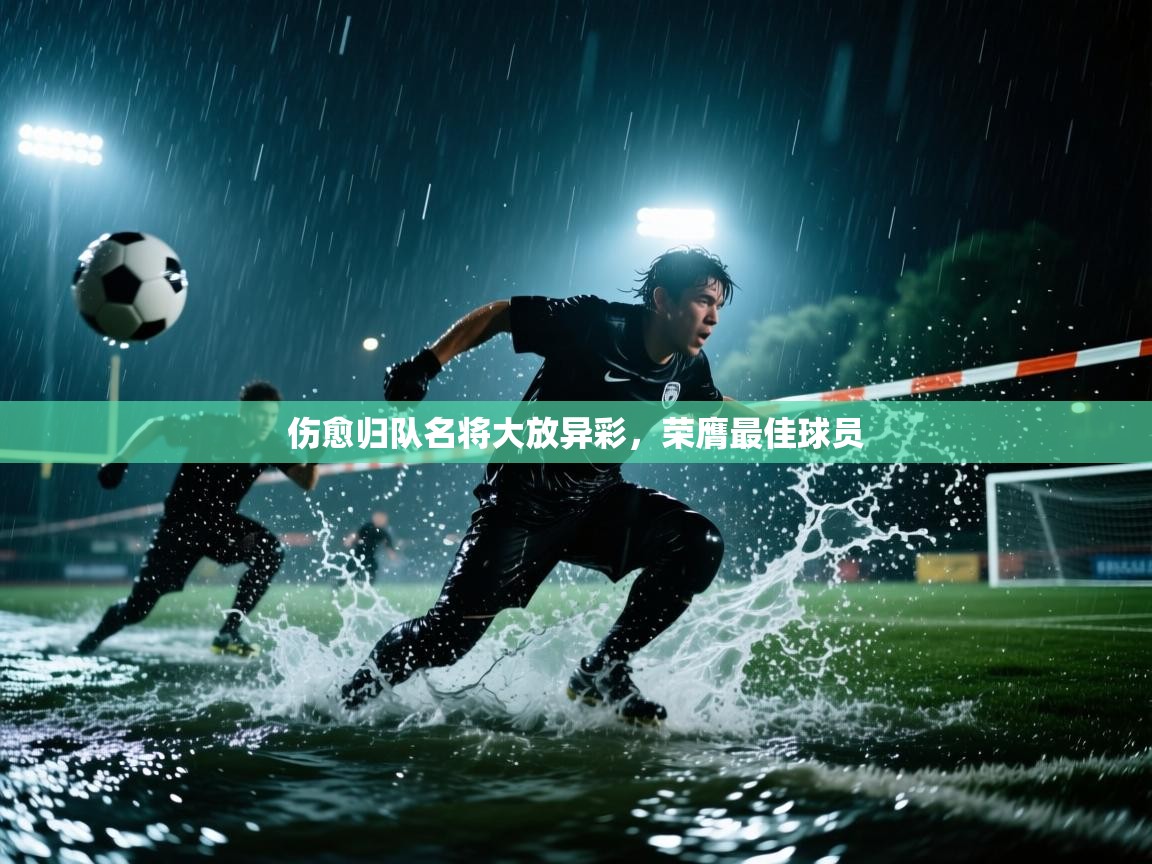 伤愈归队名将大放异彩,荣膺最佳球员 第2张