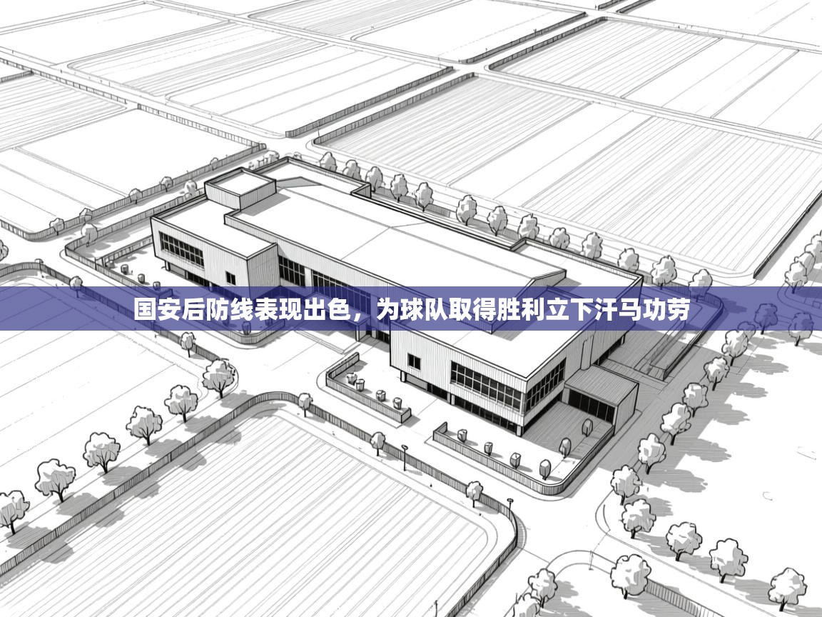 国安后防线表现出色,为球队取得胜利立下汗马功劳 第2张