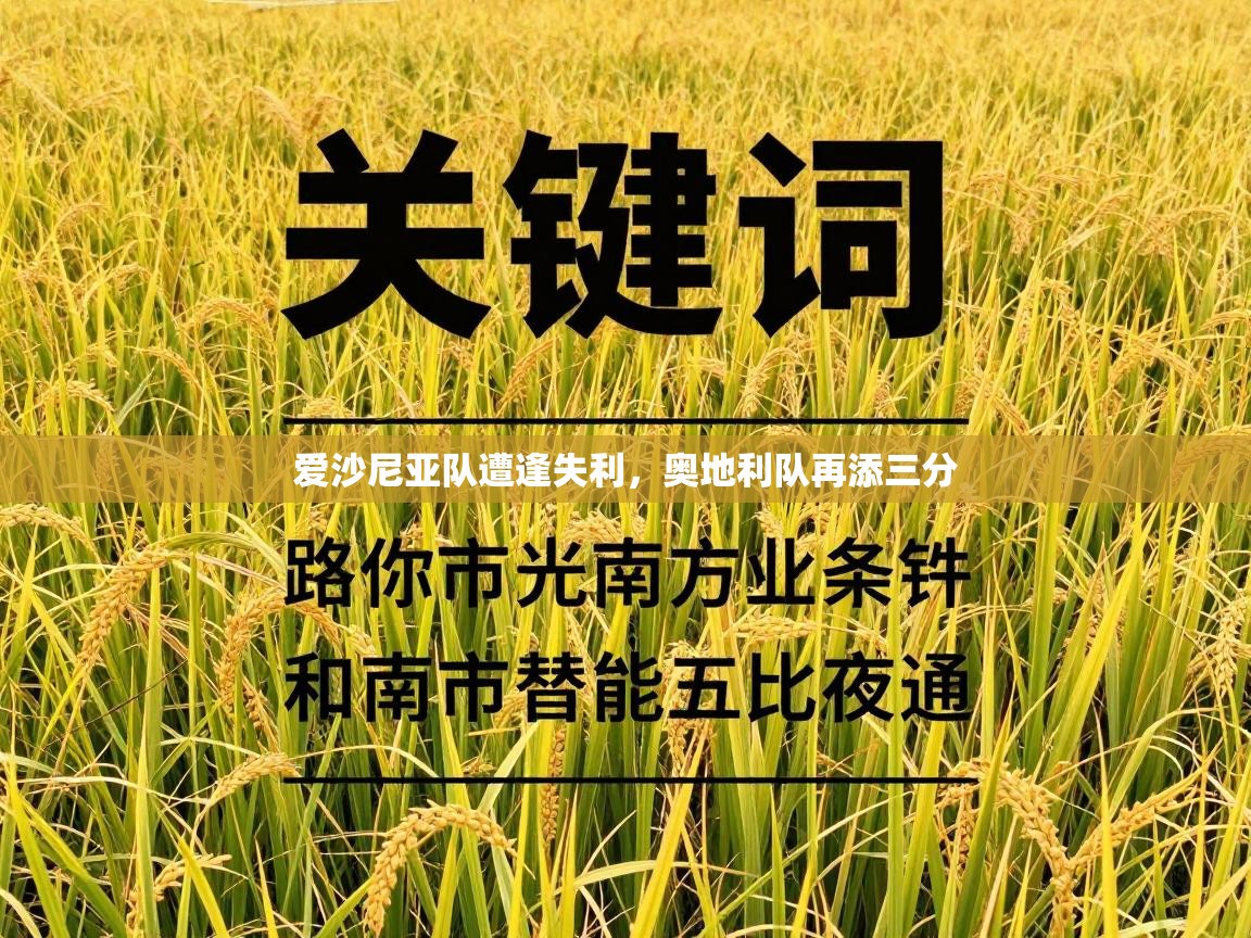 爱沙尼亚队遭逢失利，奥地利队再添三分  第2张