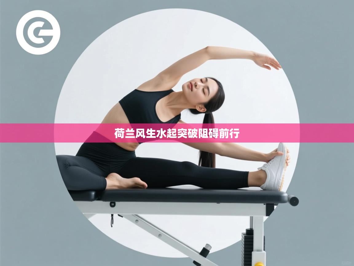 荷兰风生水起突破阻碍前行 第1张