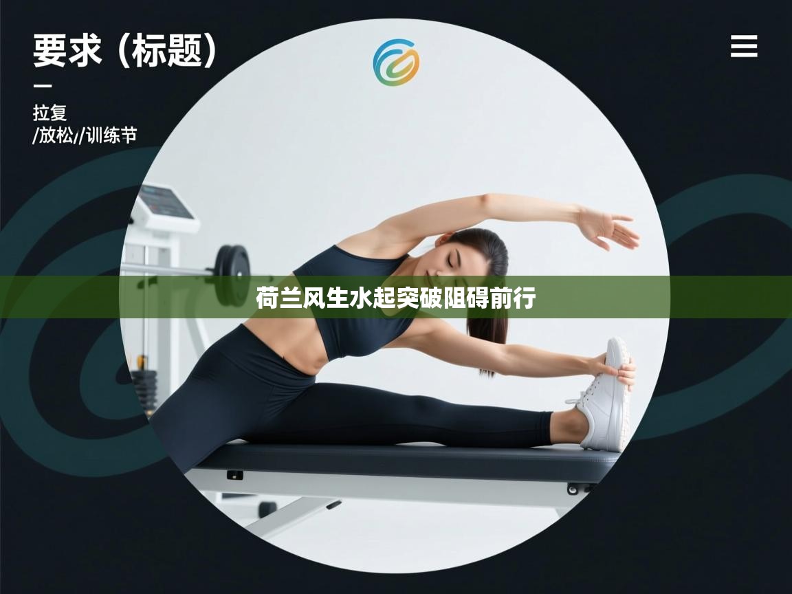 荷兰风生水起突破阻碍前行 第2张