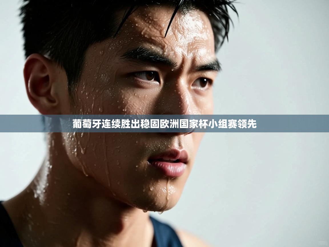 葡萄牙连续胜出稳固欧洲国家杯小组赛领先  第1张