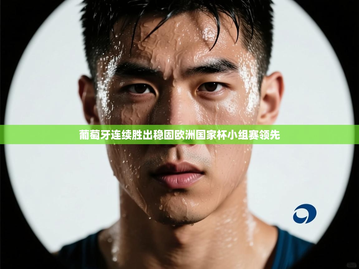 葡萄牙连续胜出稳固欧洲国家杯小组赛领先  第2张