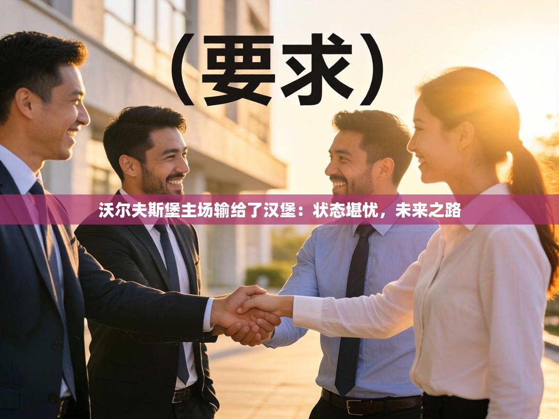 沃尔夫斯堡主场输给了汉堡：状态堪忧，未来之路  第2张